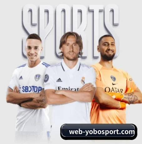 yobo体育官网 APP